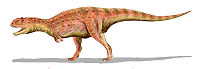 Majungasaurus BW.jpg