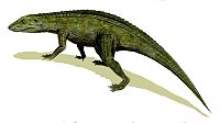 Protosuchus BW.jpg