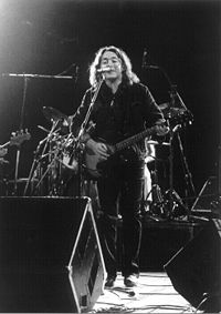 Rory Gallagher concert.jpg