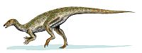 Thescelosaurus BW.jpg