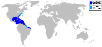Distribución del sargo chopa