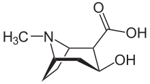 Ecgonina chemical structure