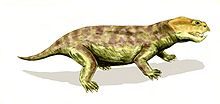 Eodicynodon BW.jpg