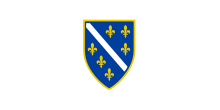Flag of Bosnia and Herzegovina (1992-1998).svg