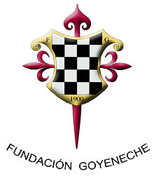 Logo Fundacion Goyeneche.jpg