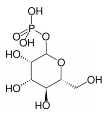 Manosa-1-fosfato.png