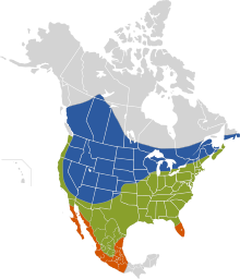 Azul: verano (época de reproducción); verde: durante todo el año; anaranjado; invierno (fuera de la época de reproducción).