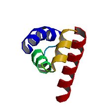 PBB Protein EDD1 image.jpg