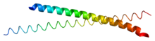 Protein ATF4 PDB 1ci6.png