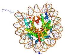 Protein HIST2H3C PDB 1aoi.png