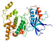 Protein MAPK8 PDB 1jnk.png