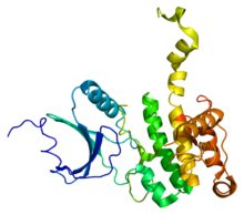Protein MKNK2 PDB 2ac3.png