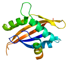 Protein NCOA1 PDB 1oj5.png