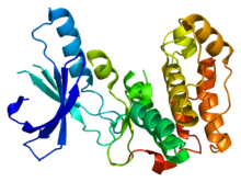 Protein NEK2 PDB 2jav.png