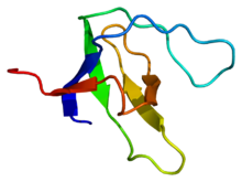Protein NPHP1 PDB 1s1n.png