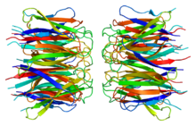 Protein NPM1 PDB 2p1b.png