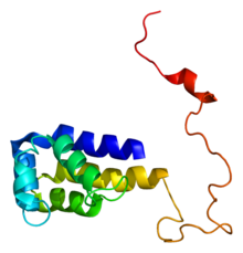 Protein PEA15 PDB 1n3k.png