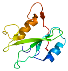 Protein PIK3R3 PDB 2pna.png