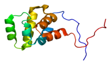 Protein THOC1 PDB 1wxp.png