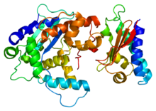 Protein TOB1 PDB 2d5r.png