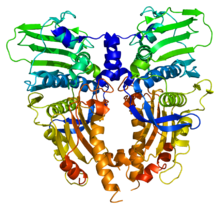 Protein TOP2A PDB 1zxm.png