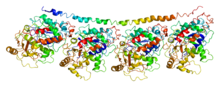 Protein TUBB PDB 1ffx.png