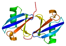 Protein UBC PDB 1aar.png