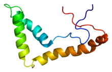 Protein UBTF PDB 1k99.png