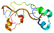 Protein ZFP36L1 PDB 1rgo.png