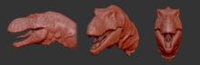 Tyrannosaurus: reconstrucción digital de la cabeza.