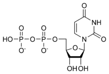UDP chemical structure.png