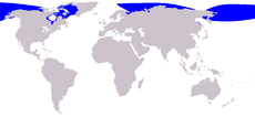 Distribución de la beluga