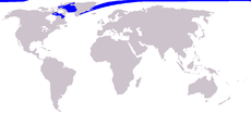 Distribución mundial del narval