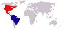Distribución de Chordeiles minor (en rojo reproducción, en azul invernada)