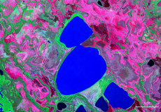 Vista satelital de la Laguna Araré