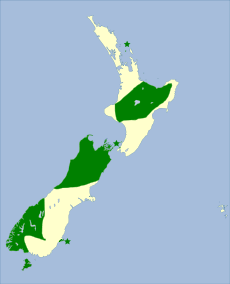 Petroica australis distribution.svg
