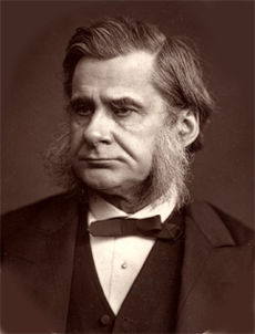 T.H.Huxley(Woodburytype).jpg