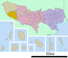 Localización de Hinohara