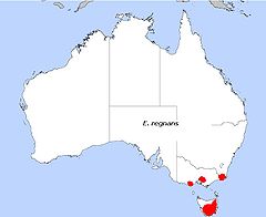 Área de distribución de E. regnans