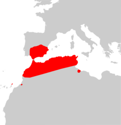 Distribución de Eptesicus isabellinus.