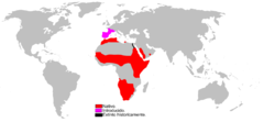 Mapa de distribución de Genetta genetta. Rojo: Autóctona. Rosa: Introducida. Negro: Introducida y extinta.[1] 