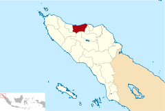 Lokasi Aceh Kabupaten Bireuen.svg