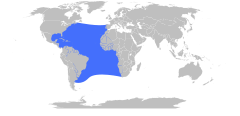 Makaira nigricans Range Map.svg