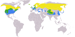Amarillo área de invierno, azul en el verano y verde todo el año.