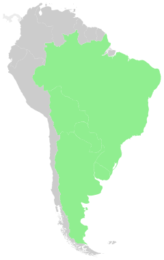 Nativo de distribución de  S. brasiliensis
