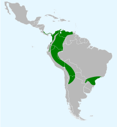 Tigrisoma fasciatum map.svg