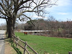 A field on the Town River, West Bridgewater MA.jpg
