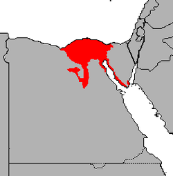 Árabe egipcio.PNG