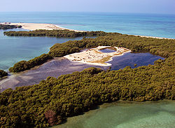 Aerial-View-of-Bu-Tinah-Island.jpg