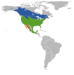 Azul: verano (época de reproducción); verde: durante todo el año; anaranjado: invierno (fuera de la época de reproducción)